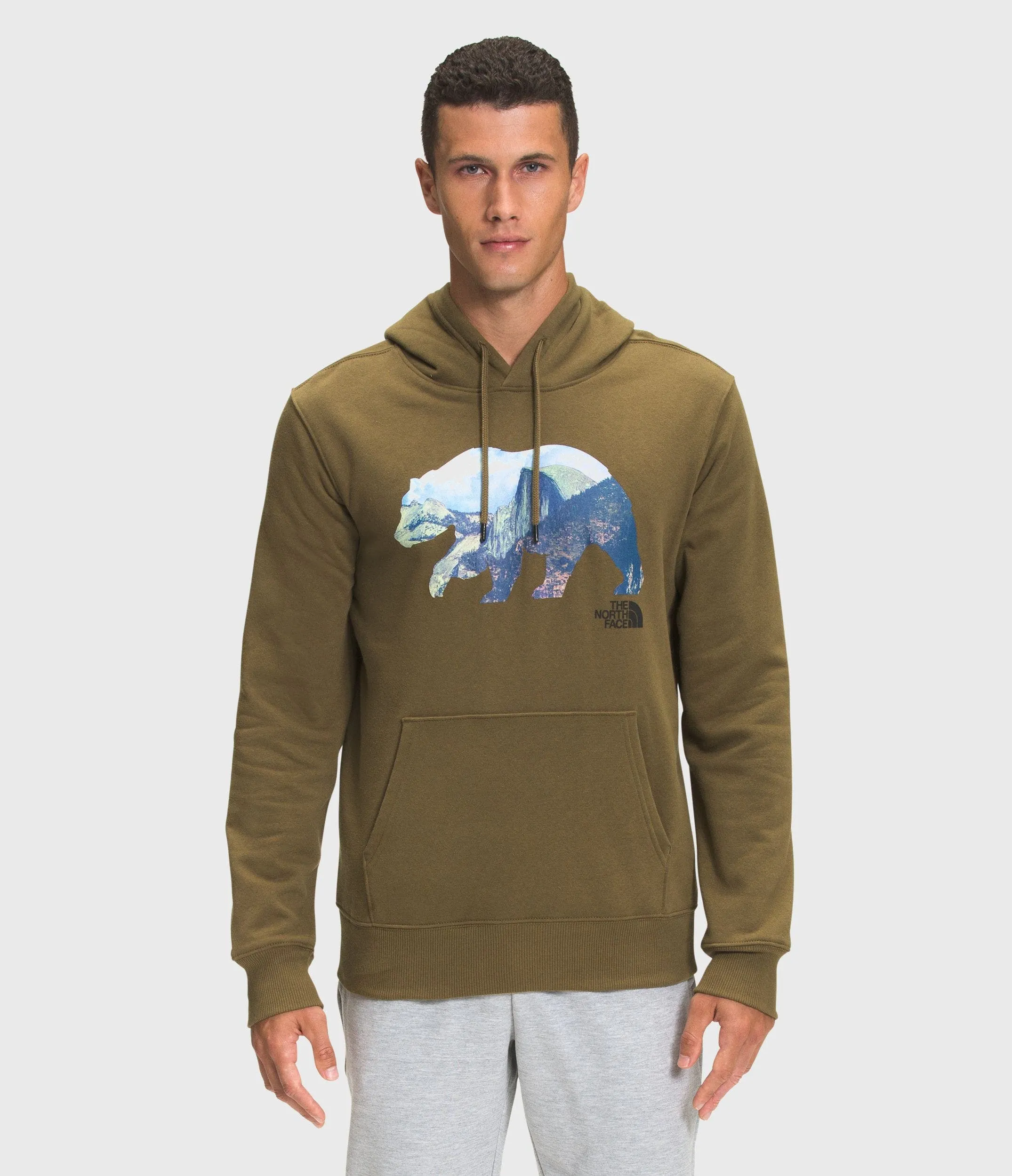 THE NORTH FACE POLERON TNF BEAR PULLOVER HOODIE HOMBRE